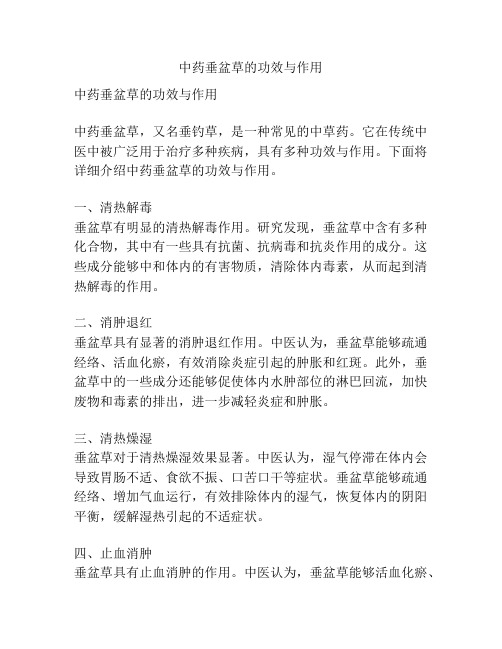 中药垂盆草的功效与作用