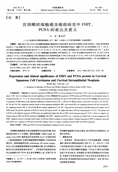 宫颈鳞状细胞癌及癌前病变中FHIT、PCNA的表达及意义