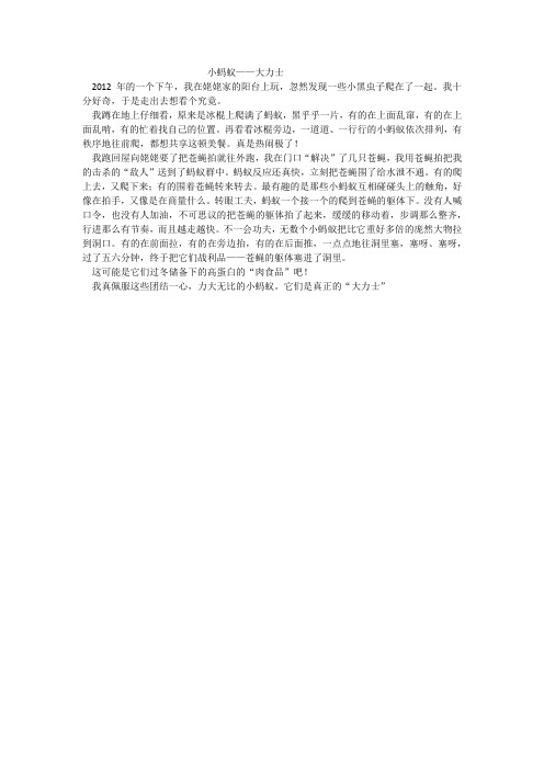 小蚂蚁—大力士
