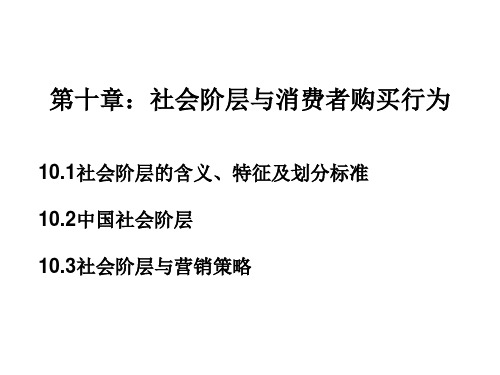 社会阶层与消费者购买行为