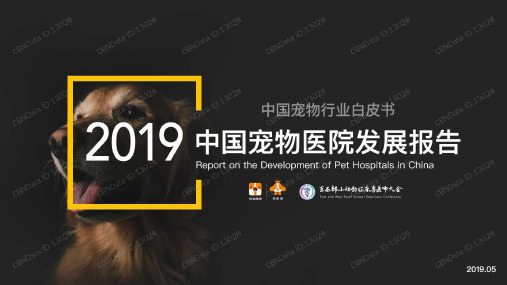 2019中国宠物医院发展报告