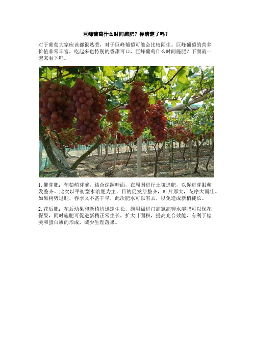 巨峰葡萄什么时间施肥？你清楚了吗