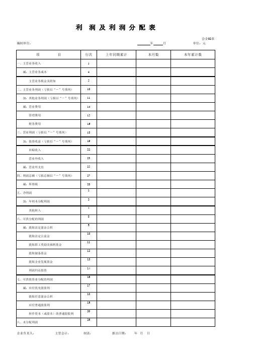 利润及损益表