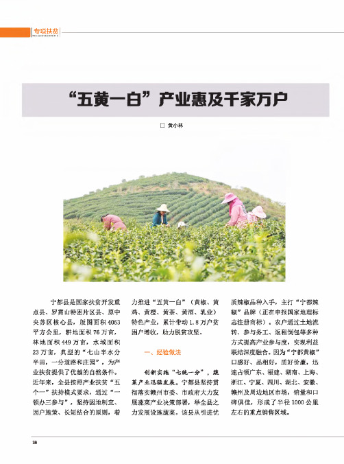 “五黄一白”产业惠及千家万户