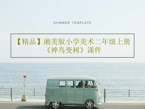 【精品】湘美版小学美术二年级上册《神鸟变树》课件共17页文档