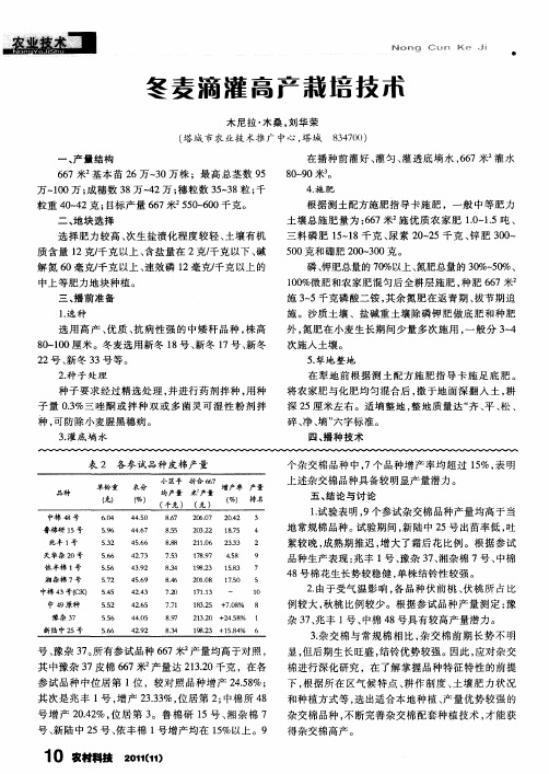 冬麦滴灌高产栽培技术