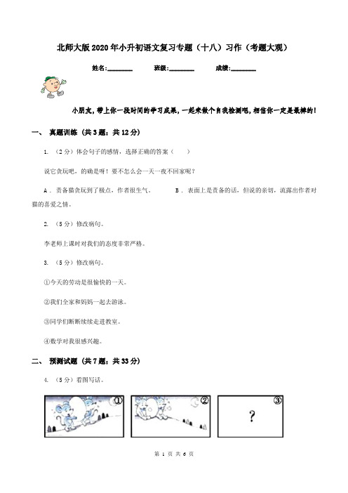 北师大版2020年小升初语文复习专题(十八)习作(考题大观)