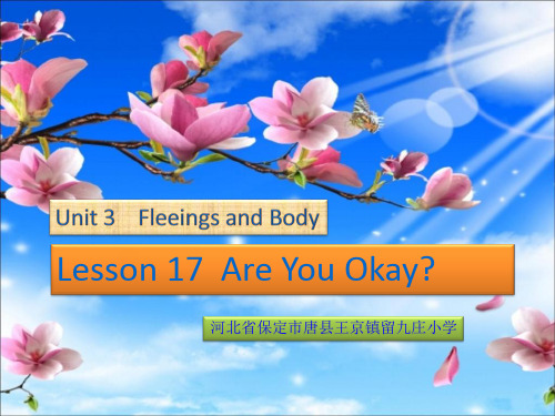 三年级上册英语教案-Unit 3 lesson17 Are You OKay-冀教版(共19张PPT)