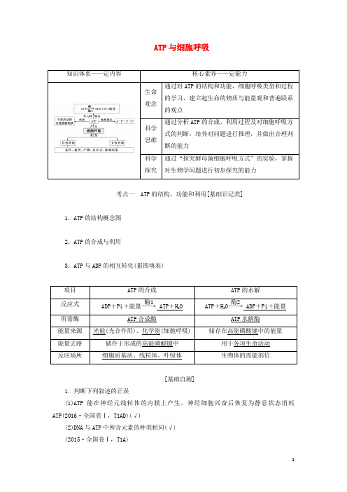 高考生物一轮复习第三单元第二讲ATP与细胞呼吸学案含解析