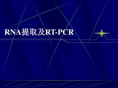 RNA提取及RT-PCR