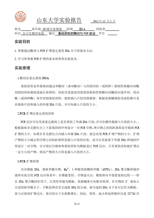 重组质粒的构建与转化2