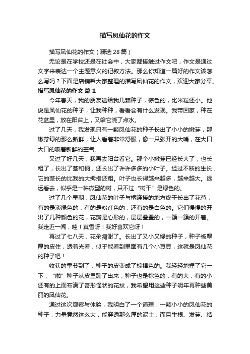 描写凤仙花的作文