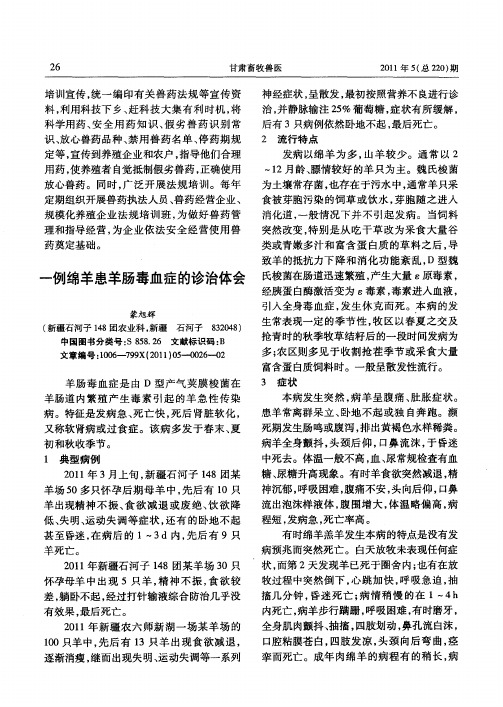 一例绵羊患羊肠毒血症的诊治体会