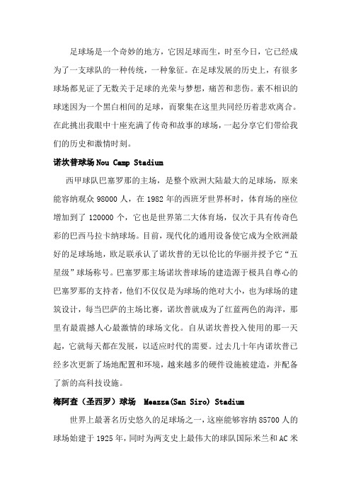 世界十大足球场