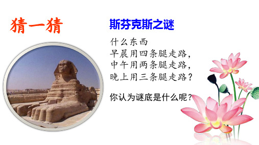 七年级道德与法治第三课 认识自己课件
