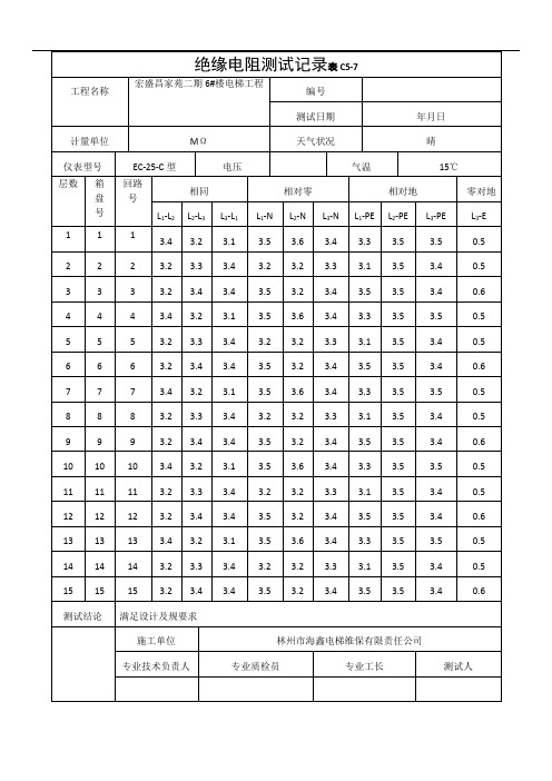 电梯绝缘电阻测试记录文稿表