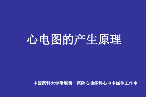 迅速看懂心电图心电图的原理