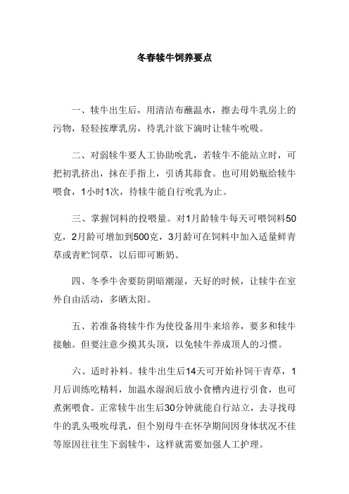 冬春犊牛饲养要点