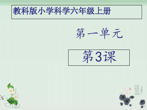 六年级上册科学课件杠杆类工具的研究教科版