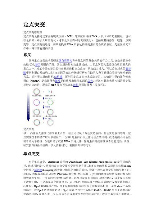 点突变
