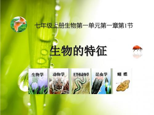 七年级上生物人教版第1单元第1章第1节《生物的特征》 (共39张PPT)