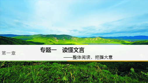 高考语文大一轮复习古诗文阅读第一章文言文阅读专题一读懂文言课件