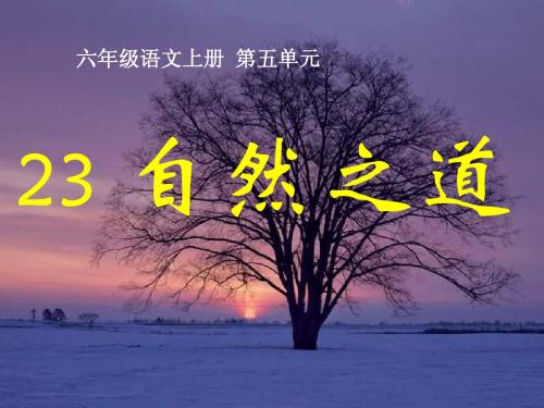 《自然之道》ppt课件