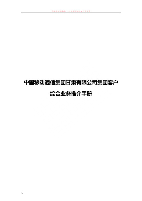 集团客户综合业务推介手册