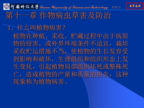 病虫草害及防治PPT课件