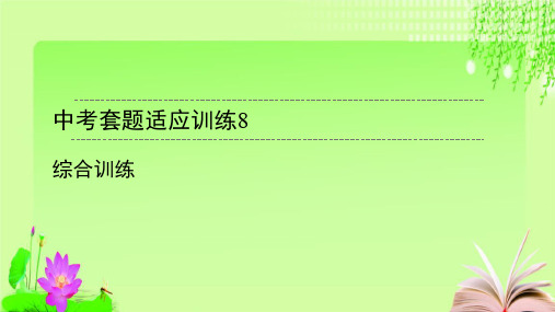 最新2020广东中考化学总复习 中考套题适应训练12套 10教育课件