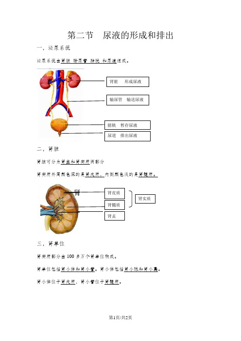 京改版七年级下册第七章第二节尿液的形成和排出 知识点总结