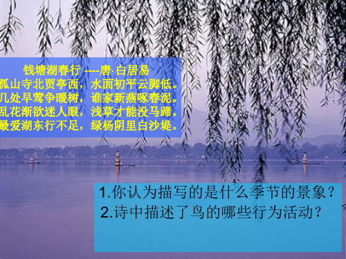 济南版初中生物八年级上册课件 4.2.3 鸟的生殖和发育 (共21张PPT)