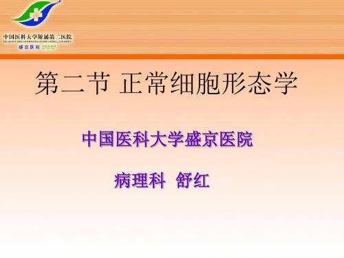 细胞形态学