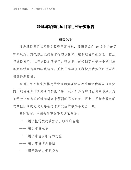 如何编写阀门项目可行性研究报告