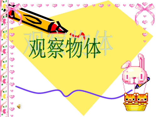 青岛版二年级数学下册《观察物体》PPT课件