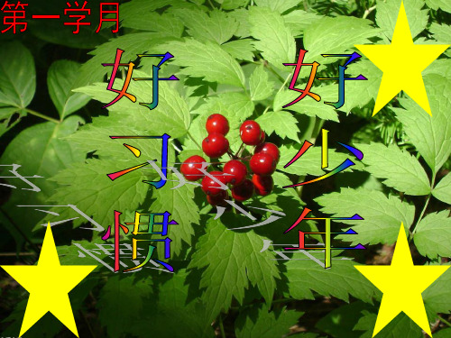 好习惯好少年