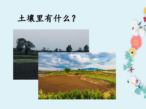 小学科学四年级下册：7.《土壤里有什么》
