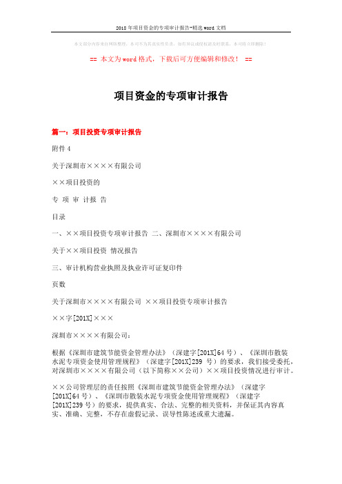 2018年项目资金的专项审计报告-精选word文档 (6页)