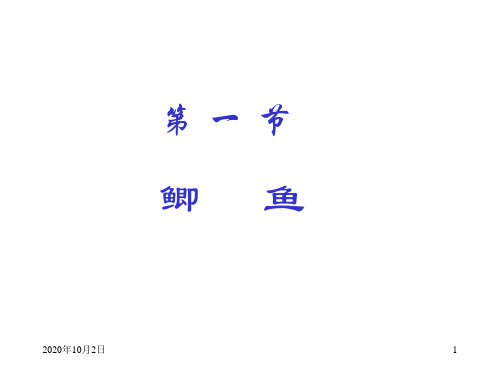 鲫鱼PPT课件