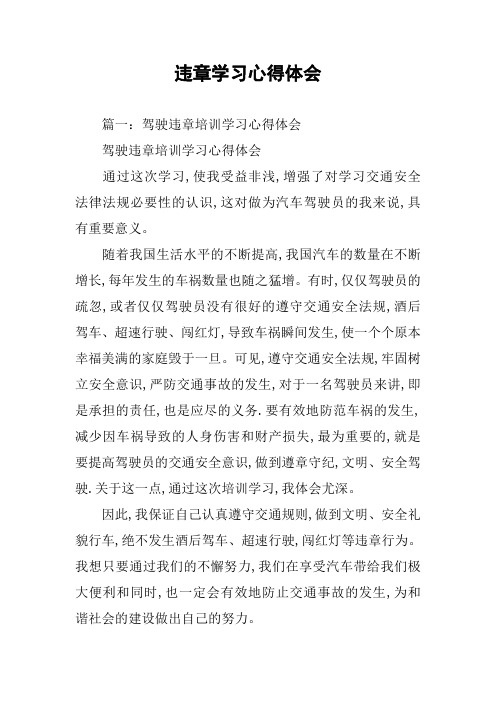 违章学习心得体会