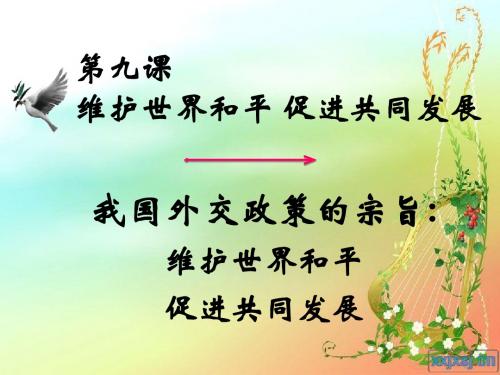 4.9.3我国外交政策的宗旨