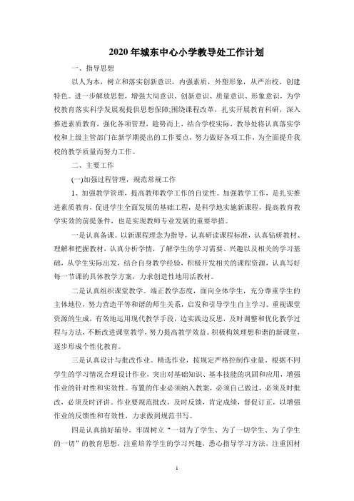 城东中心小学教导处工作计划2020年