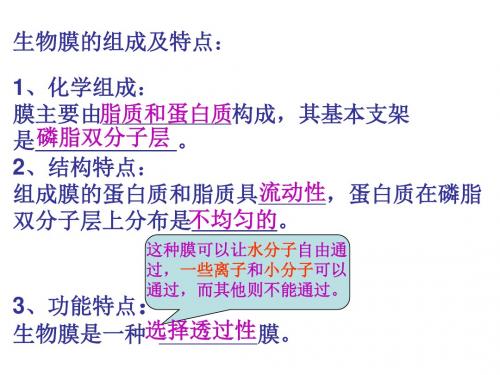 物质跨膜运输的方式