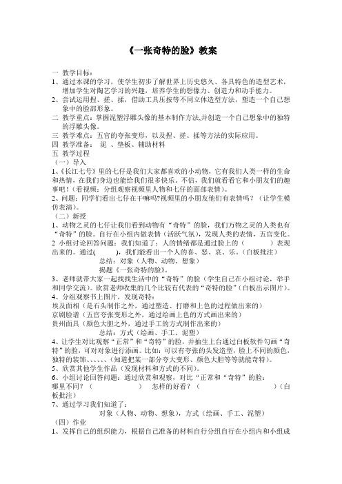 《一张奇特的脸》教案1