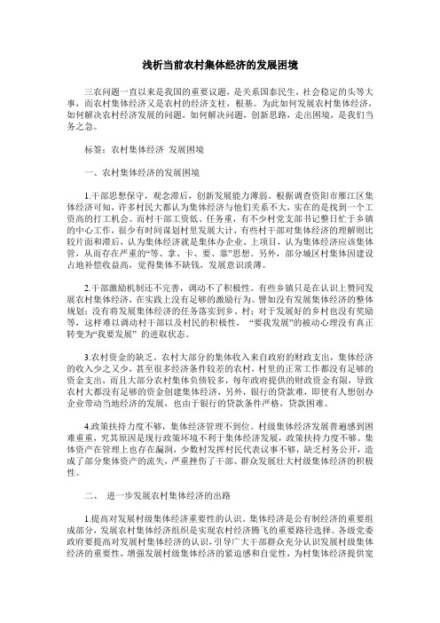 浅析当前农村集体经济的发展困境