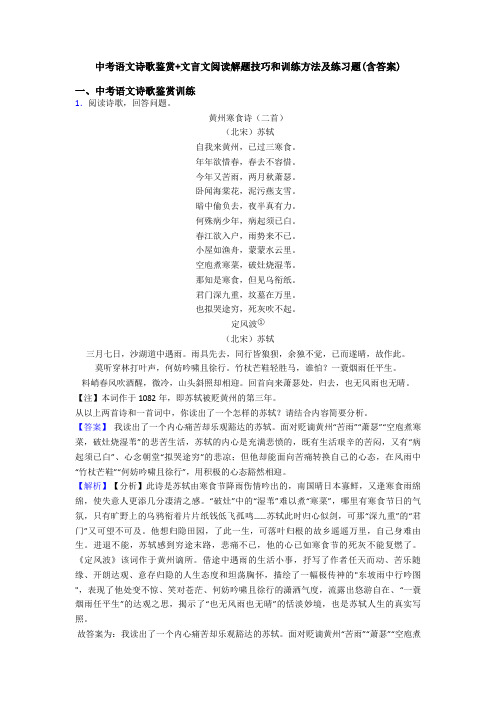 中考语文诗歌鉴赏+文言文阅读解题技巧和训练方法及练习题(含答案)