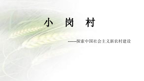 15中文3小岗村社会实践