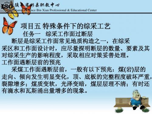 项目五特殊条件下的综采工艺.ppt