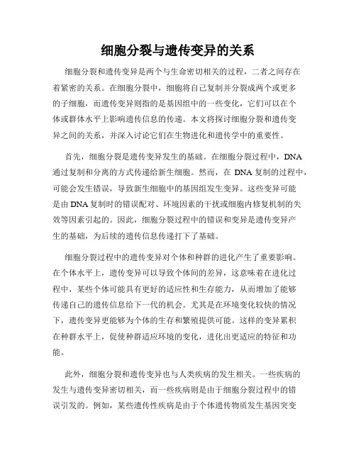细胞分裂与遗传变异的关系
