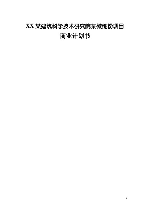 某微细粉项目商业计划书